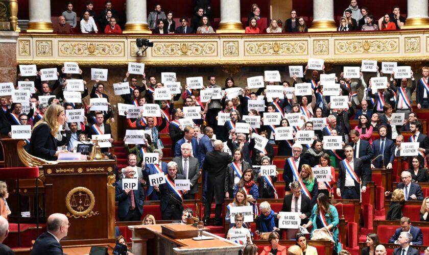 Retraites : Braun-Pivet, le soutien de la gauche en Macronie pour mettre la réforme sur pause