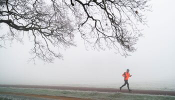 A runner in Richmond Park on Sunday morning. Pic: PA