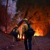 Des pompiers s'efforcent d'éteindre les flammes dans le quartier de Mandeville Canyon à Los Angeles, Californie, le 11 janvier 2025, alors que l'incendie Palisades continue de brûler