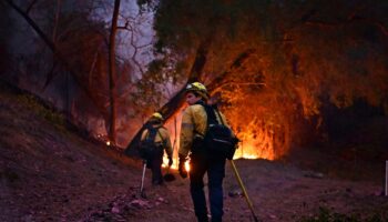 Des pompiers s'efforcent d'éteindre les flammes dans le quartier de Mandeville Canyon à Los Angeles, Californie, le 11 janvier 2025, alors que l'incendie Palisades continue de brûler