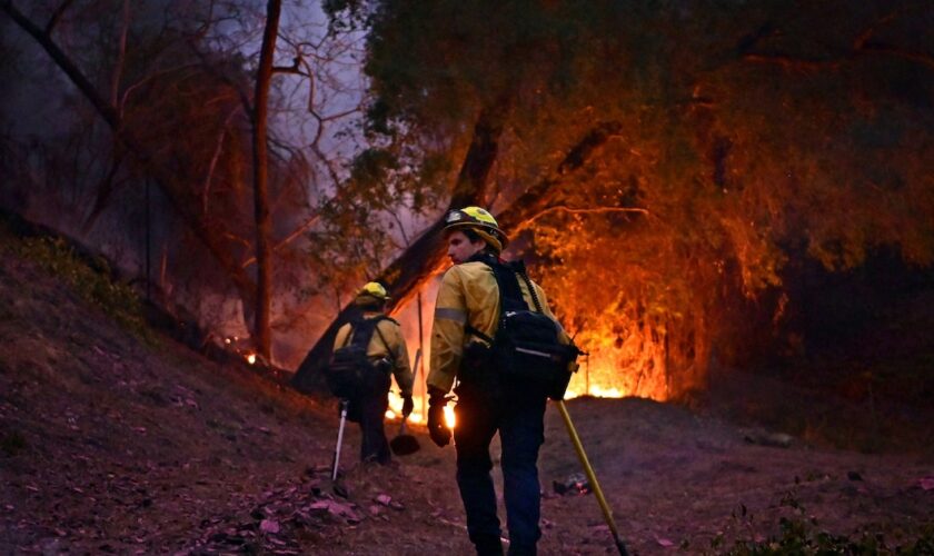 Des pompiers s'efforcent d'éteindre les flammes dans le quartier de Mandeville Canyon à Los Angeles, Californie, le 11 janvier 2025, alors que l'incendie Palisades continue de brûler