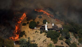 Brände in Los Angeles: Wind facht Feuer in Richtung der Hollywood Hills an