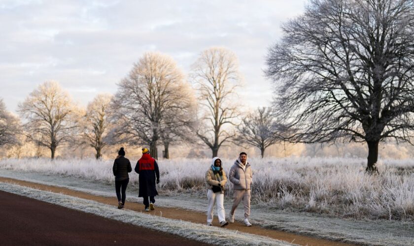 Walkers in Richmond Park on Sunday morning. Pic: PA