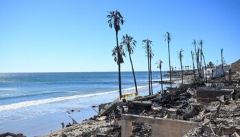 Incendies à Los Angeles : le bilan passe à 24 morts, des vents violents menacent d’attiser les feux