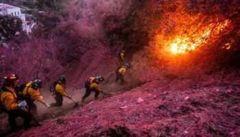 Los Angeles: US-Behörden rechnen mit "extremem Brandverhalten", Filmdrehs gestoppt