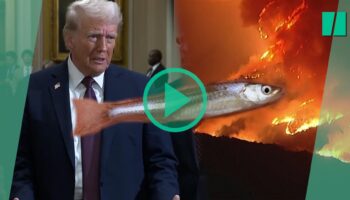 Incendies de Los Angeles : pourquoi Donald Trump accuse un petit poisson d’en être responsable