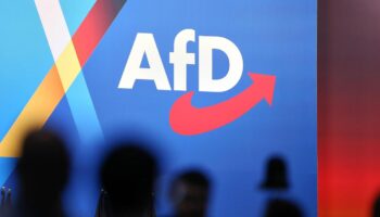 Wahlkampf: Kriminalpolizei ermittelt gegen AfD wegen "Abschiebetickets"