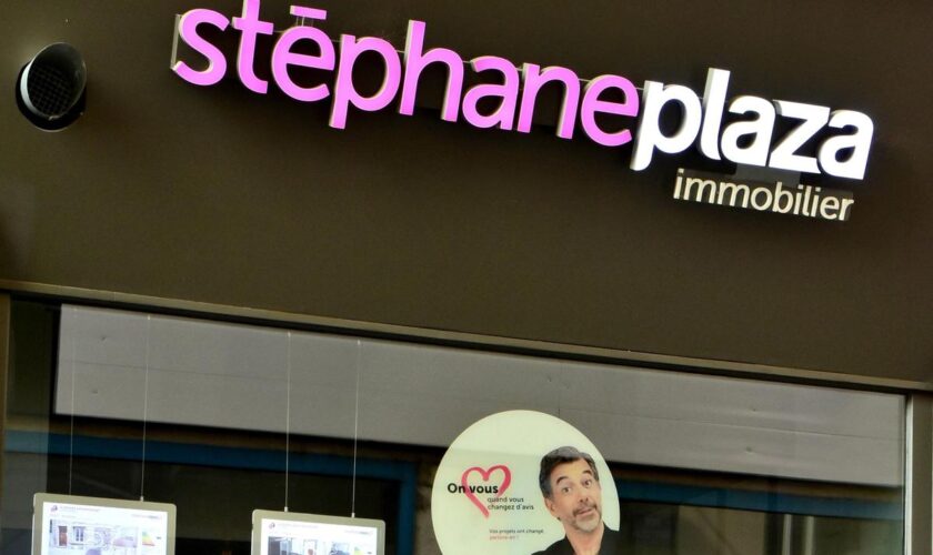 Stéphane Plaza jugé pour violences conjugales : des agences immobilières veulent quitter la franchise