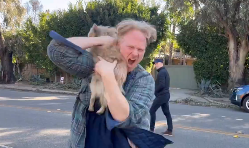 Incendies de Los Angeles : à Pacific Palisades, les retrouvailles émouvantes entre ce maître et son chien