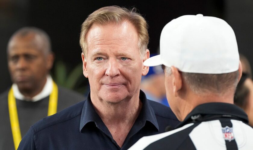 Roger Goodell talks NFL's decision to relocate Rams-Vikings playoff game amid LA wildfires