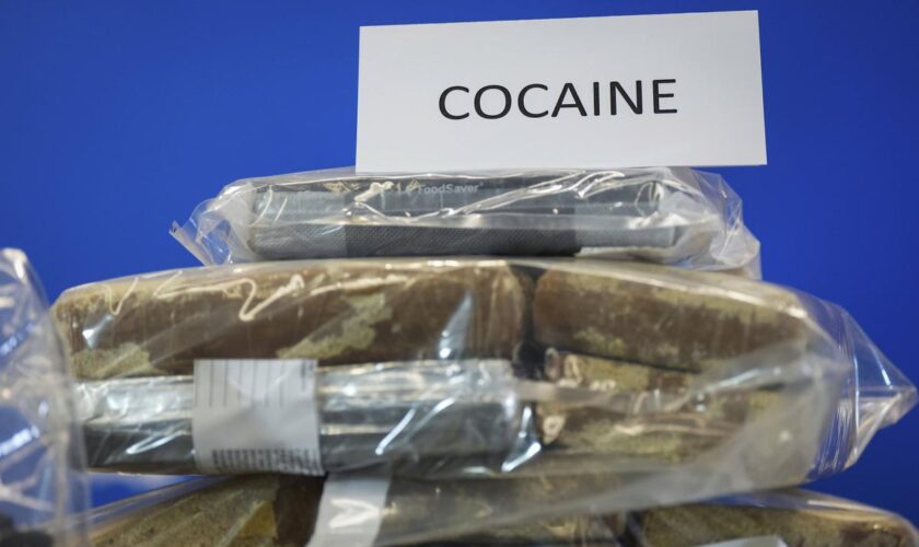 Près de 47 tonnes de cocaïne saisies en France sur les 11 premiers mois de 2024, un « record »