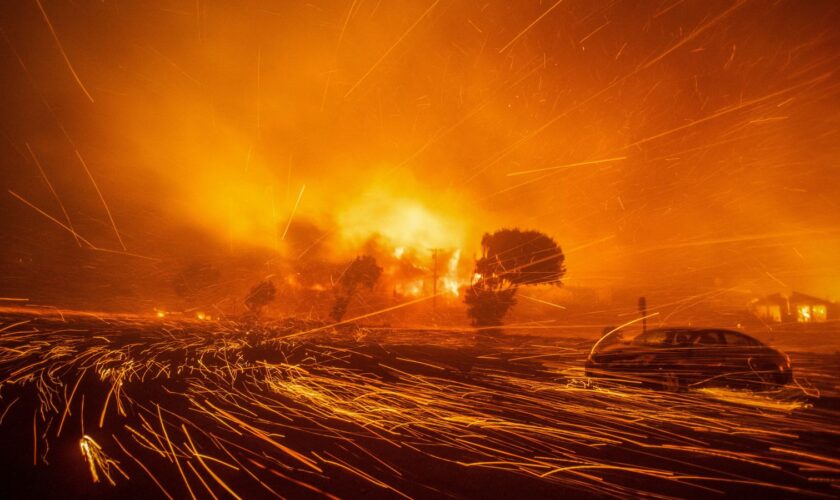 The 'Devil' winds that fuelled the California wildfires are back - here's what it could mean