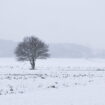 Météo : 26 départements en alerte "grand froid", les prévisions détaillées