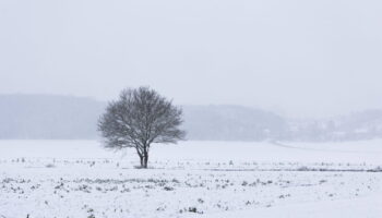 Météo : 26 départements en alerte "grand froid", les prévisions détaillées