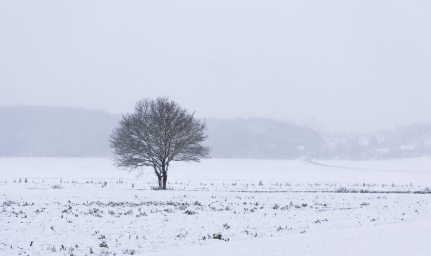 Météo : 26 départements en alerte "grand froid", les prévisions détaillées