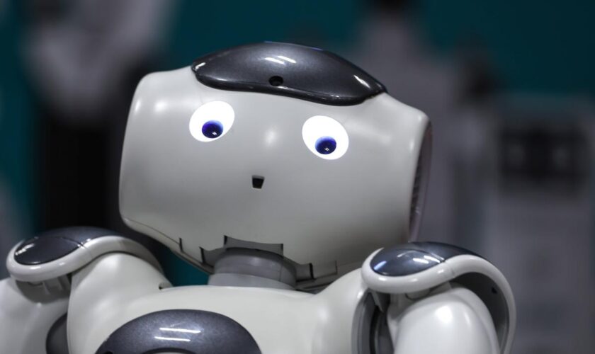 Il est urgent de réguler nos relations intimes avec les robots