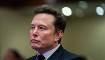 Elon Musk en discussion pour racheter TikTok aux Etats-Unis, une « pure fiction » selon la plateforme