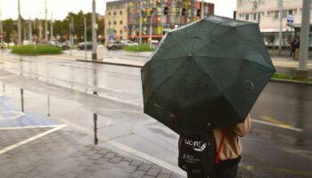 La météo de février, mars et avril s'éclaircit : les prévisions se précisent et une bonne nouvelle arrive