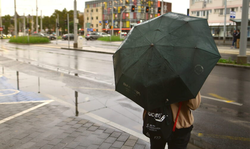 La météo de février, mars et avril s'éclaircit : les prévisions se précisent et une bonne nouvelle arrive