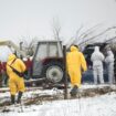 Staff in PPE with rifles at a farm in Hoppegarten, east of Berlin. Pic: AP