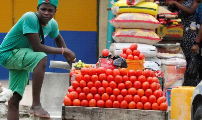 Le Nigeria compte intégrer le secteur informel dans ses indices économiques