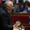 Bayrou reprend la complainte de ce syndicat agricole contre les « flics verts »