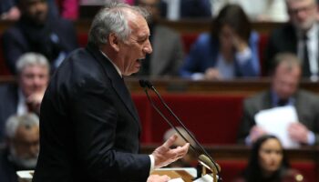 Bayrou reprend la complainte de ce syndicat agricole contre les « flics verts »