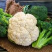 UK facing broccoli and cauliflower shortage due to climate breakdown