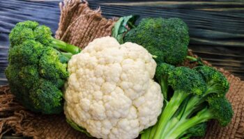 UK facing broccoli and cauliflower shortage due to climate breakdown