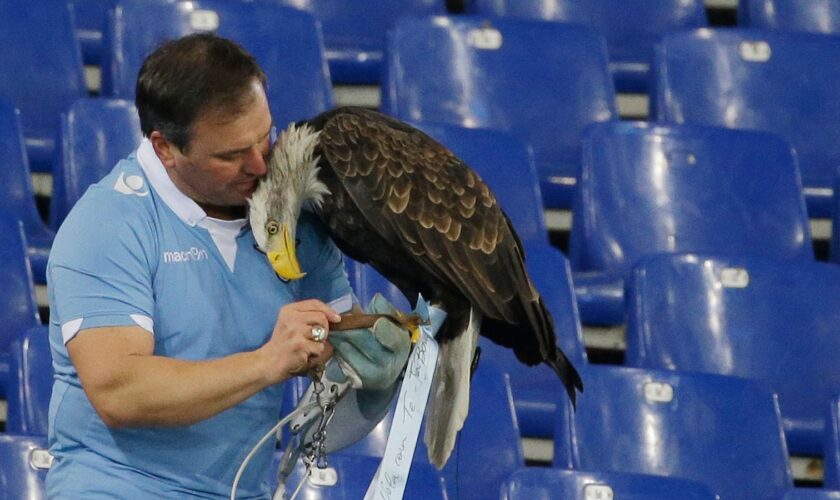 Prosthetic penis photos get football club's eagle handler sacked