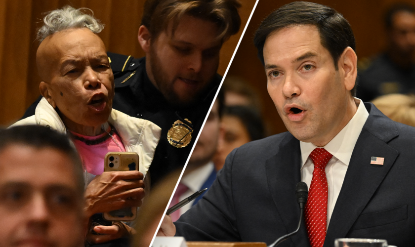 Rubio brushes off demonstrators who erupted in Senate hearing: 'I get bilingual protesters'