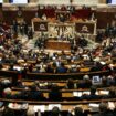 Le Premier ministre François Bayrou (C) fait sa déclaration de politique générale à l'Assemblée nationale le 14 janvier 2025 à Paris