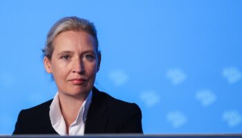 La co-cheffe du parti AfD Alice Weidel, le 5 août 2023 à Magdebourg, dans l'est de l'Allemagne