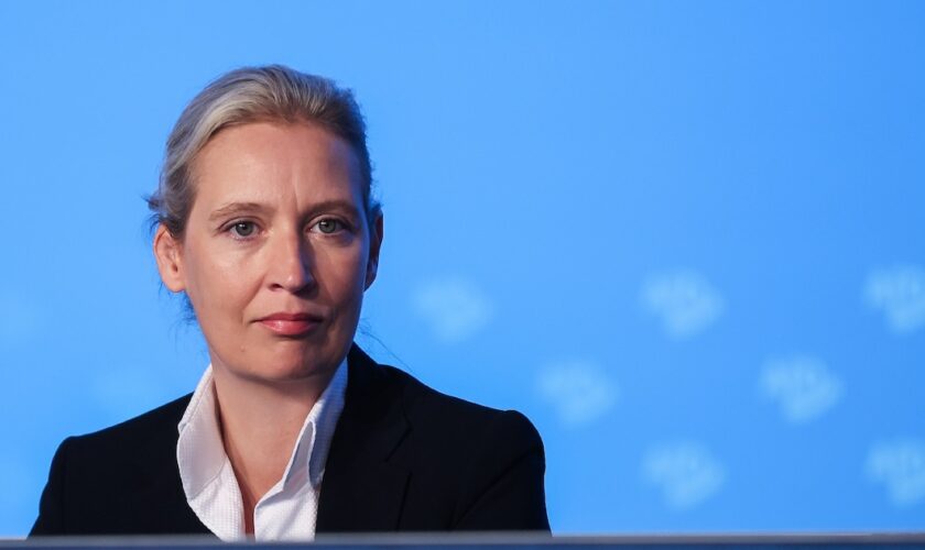 La co-cheffe du parti AfD Alice Weidel, le 5 août 2023 à Magdebourg, dans l'est de l'Allemagne