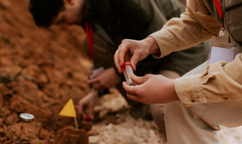 Une «station-service» romaine de 2.000 ans découverte par des archéologues en Grande-Bretagne