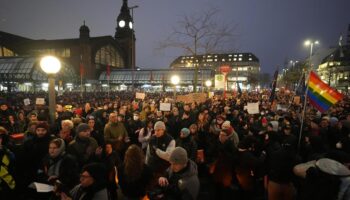 AfD: Tausende demonstrieren in Hamburg gegen Weidel-Besuch