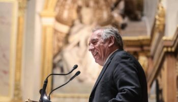 La motion de censure contre le gouvernement Bayrou rejetée par l’Assemblée