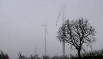 Windkraft: Vattenfall-Chef rät der AfD in Energiefrage zum Faktencheck