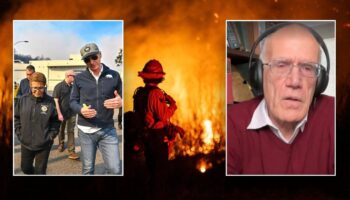 'Woke green hydrogen bomb': Historian blasts California leaders for 'nonsensical' wildfire response