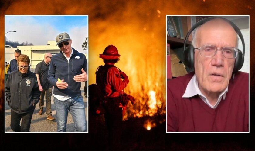 'Woke green hydrogen bomb': Historian blasts California leaders for 'nonsensical' wildfire response