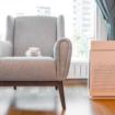 Improve your indoor air quality with the help of these 9 products