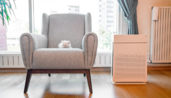 Improve your indoor air quality with the help of these 9 products