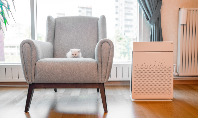 Improve your indoor air quality with the help of these 9 products