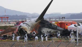 Südkorea: Bericht zu Flugzeugunglück geht von Zusammenstoß mit Vögeln aus