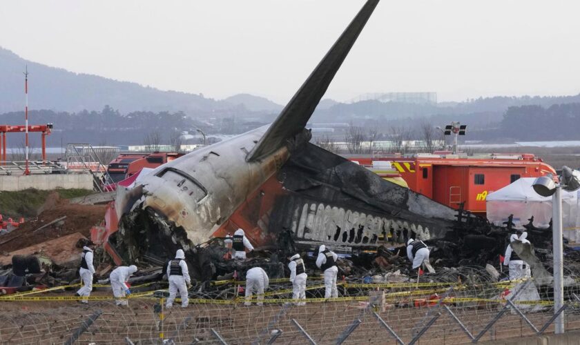 Südkorea: Bericht zu Flugzeugunglück geht von Zusammenstoß mit Vögeln aus