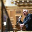 François Bayrou au Sénat, à Paris, le 15 janvier 2025