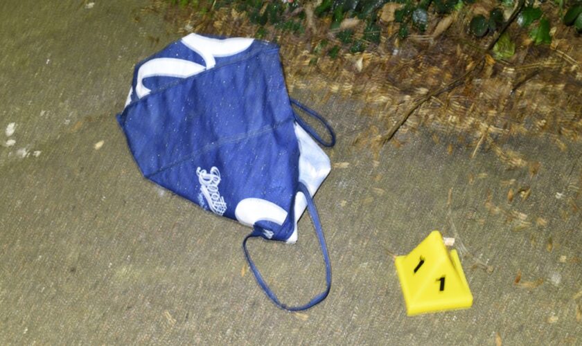 The Boots bag in which Baby Elsa was found abandoned by a dog walker in Newham on 18 January 2024. Pic: Met Police/PA