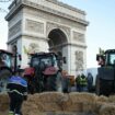 Agriculture: un an après la grande mobilisation, les «bonnets jaunes» remettent la pression