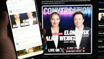 Die Ankündigung des Talks von Alice Weidel und Elon Musk