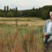 Après l’intrusion de chiens chez lui, Yann Arthus-Bertrand réclame un moratoire sur la chasse à courre